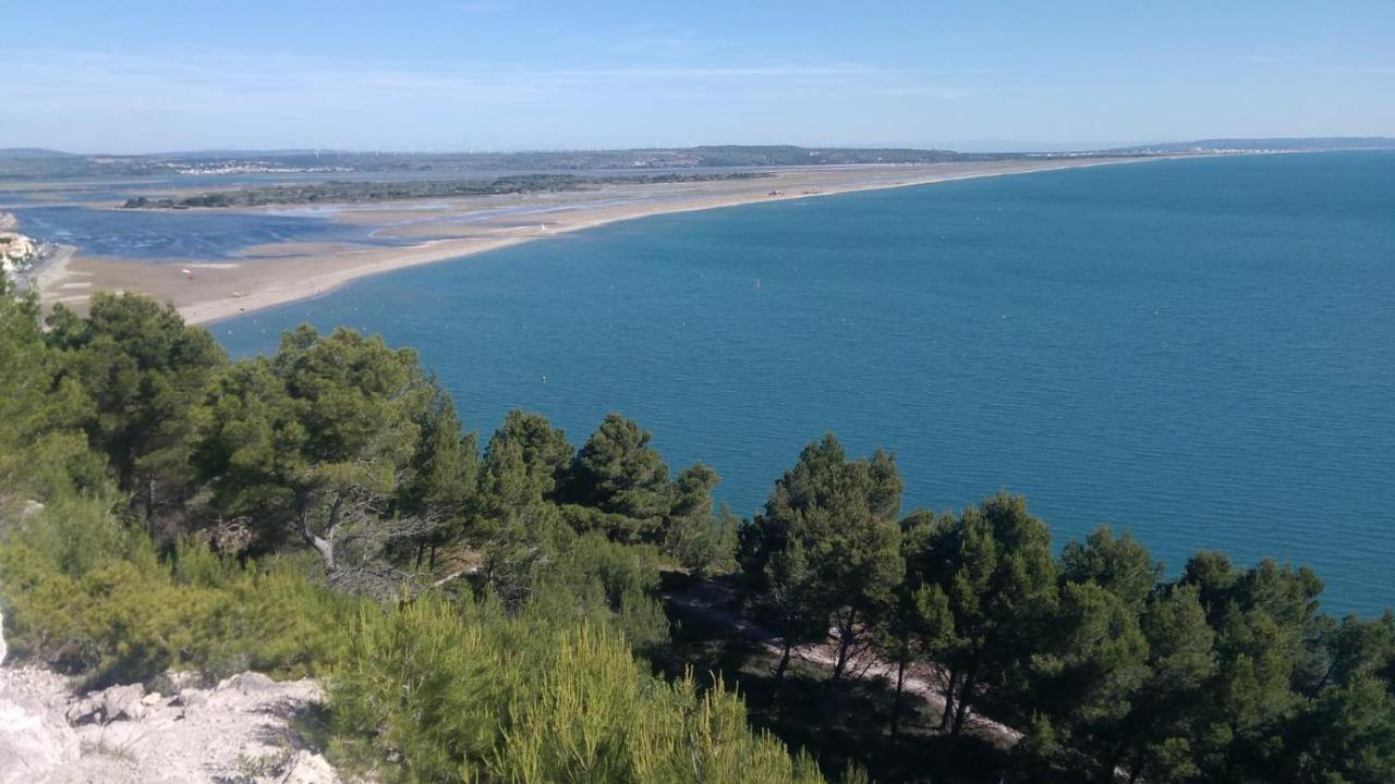 Villelongue-de-la-SalanqueMas De La Riviere别墅 外观 照片